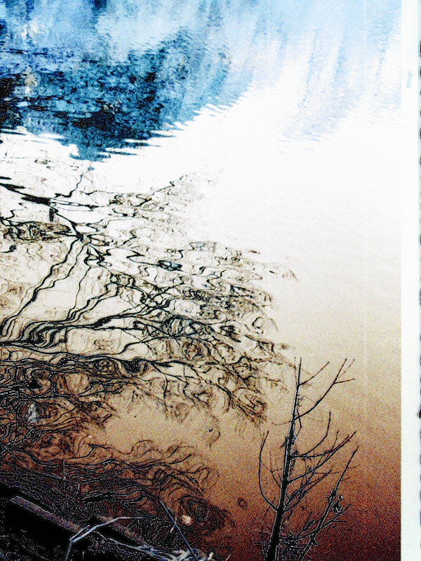 「P:A:R:K:L:I:F:E」