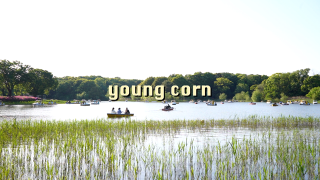 爽夏-youngcorn