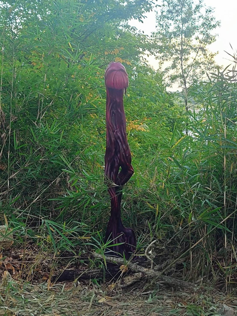 赤星雄貴『どこへでもいけるなんて』