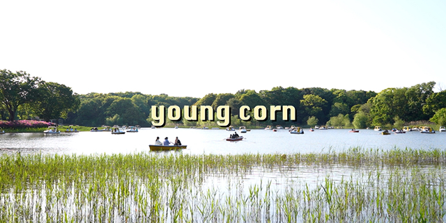 爽夏-youngcorn(映像)